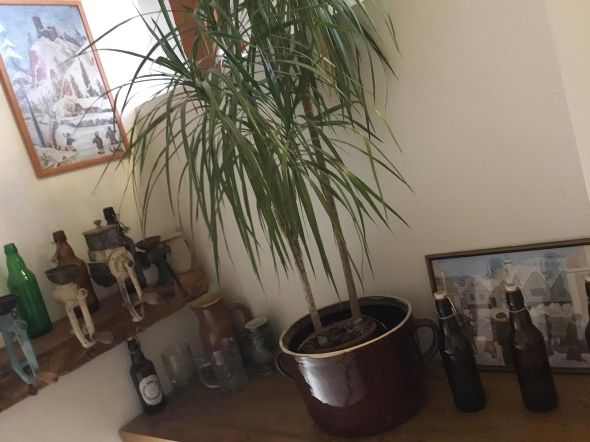 Hrusicka Restaurace A Penzion Hrusice エクステリア 写真